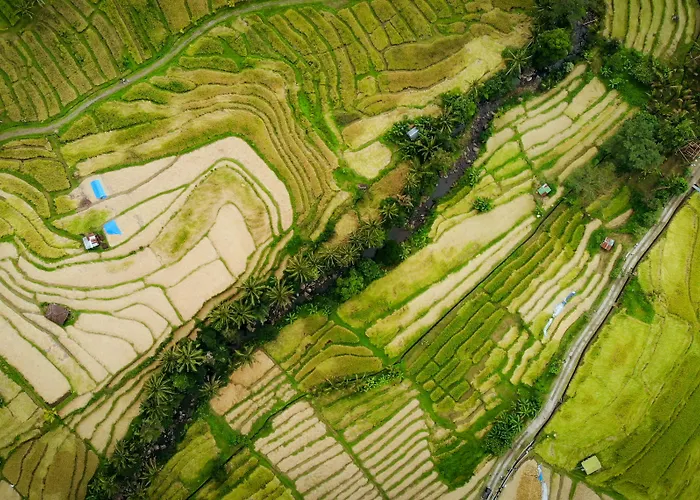 Ubud Locations de vacances