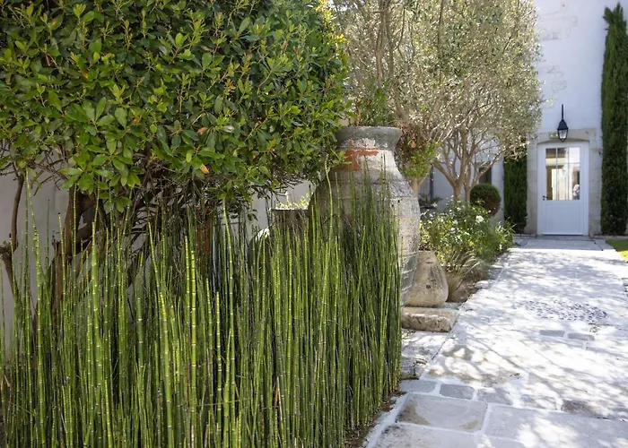 Boutique Villa Clarisse&Spa by Olivier Claire Saint-Martin-de-Ré