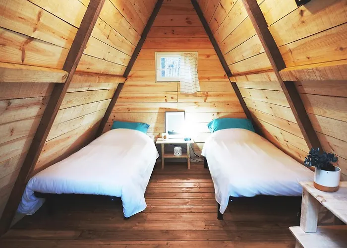 Biscarrosse Locations de vacances