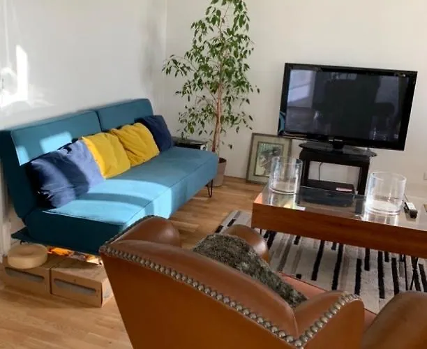 Agreable Logement A Vierzon Centre acceptant les animaux
