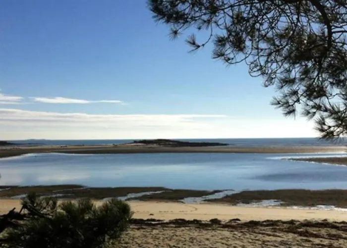 Maison avec jardin clos. Animaux acceptés - Wifi - Proche plages de la Trinité sur Mer et Carnac