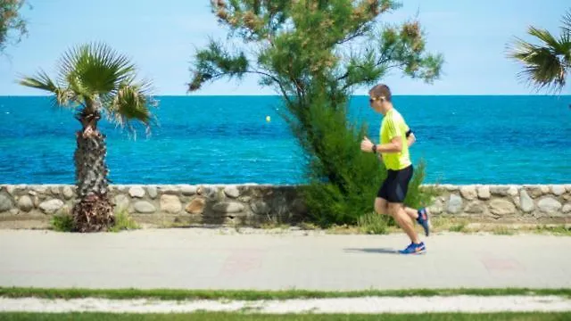 Appartement Un petit nid les pieds dans l’eau à Argelès-sur-Mer