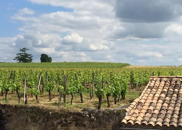 Logis de Villemaurine Saint-Émilion Privée