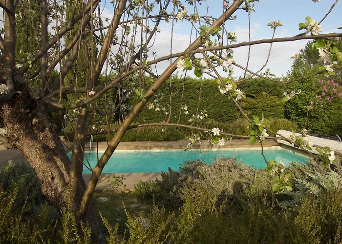 Mas de la Lézardière — Maison d'Artiste Manosque Privée