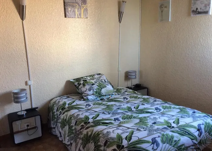 LES CASSELAS Appartement à 2 pas de la plage Saint-Cyprien  acceptant les animaux