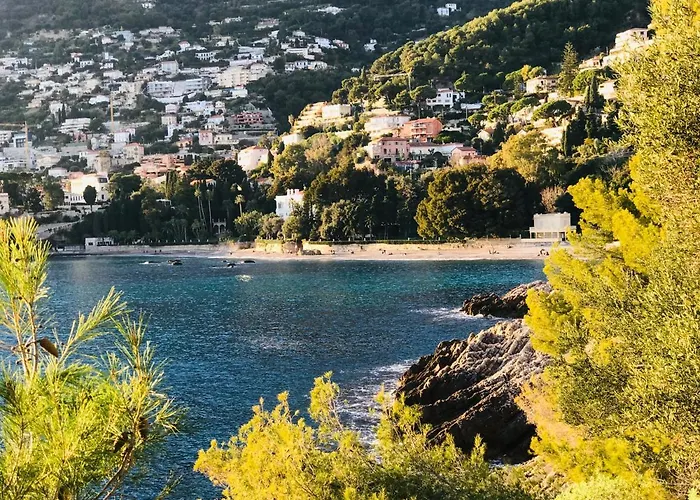 Les Lilas Roquebrune-Cap-Martin acceptant les animaux