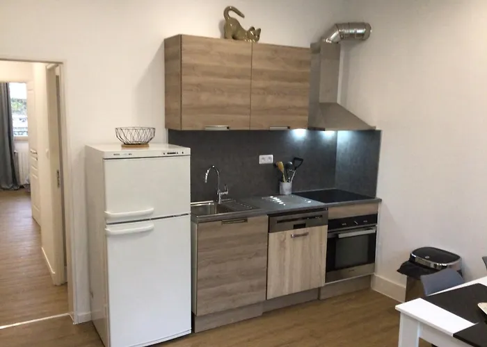 Studio Vic 2.4 Vic-sur-Cère