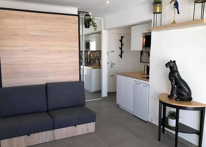 Appartement vue mer et port, refait a neuf pour vous ! Climatisé La Grande Motte