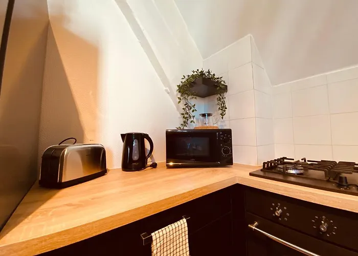 Appartement Under Roof à Clermont-Ferrand