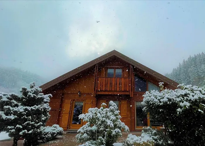 Chalet tout confort 'Le Grand Pré', terrain clôturé, garage Gérardmer