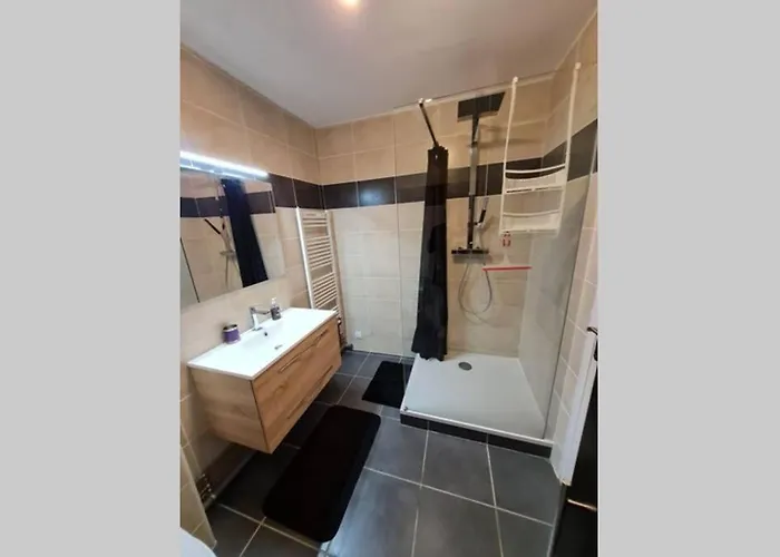 Chez Romain, appartement proche commerces et centre ville Verdun acceptant les animaux