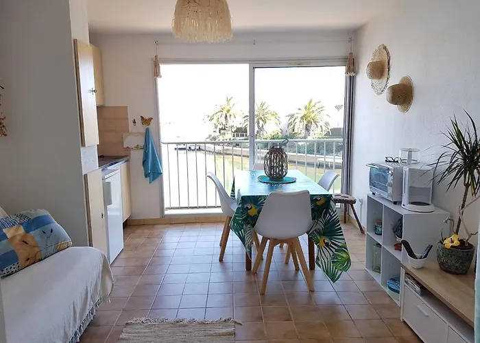 Bord De Mer Et Pieds Dans L'Eau Saint-Cyprien  acceptant les animaux