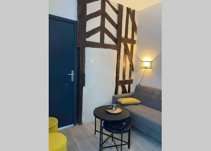 Appartement centre de Moulins acceptant les animaux