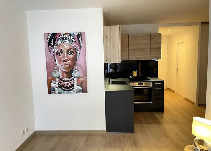 Très bel appartement T2 de standing entièrement meublé à 5 min à pied du centre. Divonne-les-Bains
