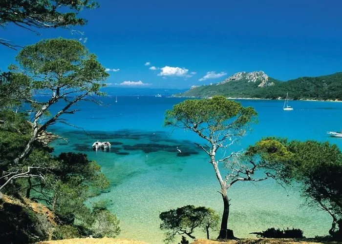 Trés beau studio 35 M2 Entre Mer et Forêt grand jardin et douche tropicale La Seyne-sur-Mer