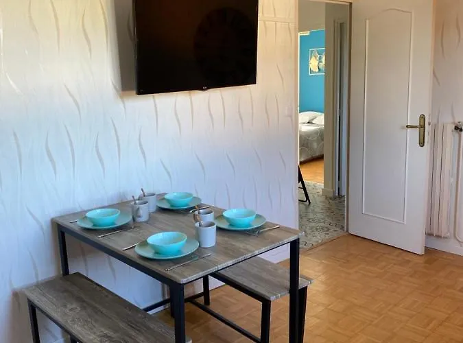Appartement Le Rhin et Danube wifi à Le Mans acceptant les animaux