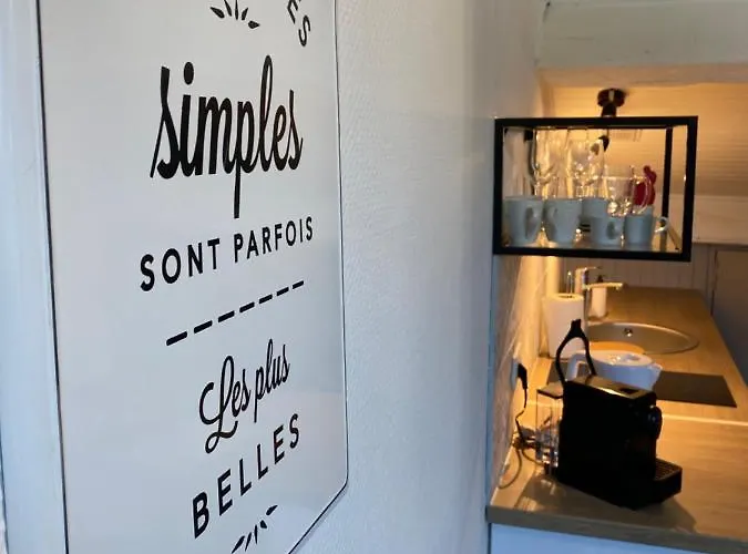 Appartement Les Cosy De Nancy - Le nid douillet - 4*