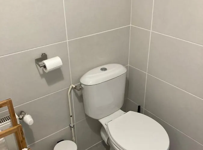 Appartement Très beau studio cosy zénith saint etienne acceptant les animaux
