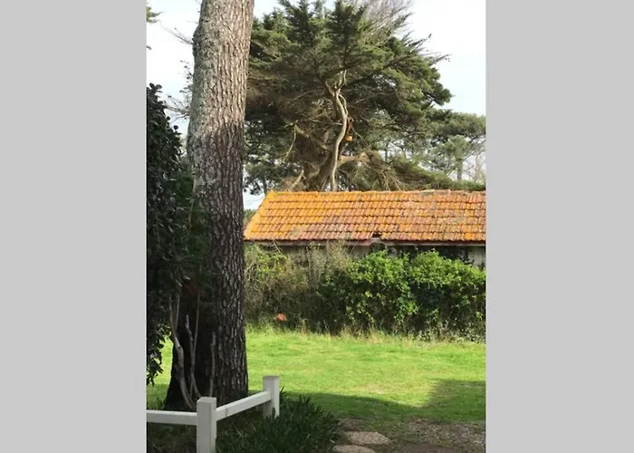 Maison à 300m de la plage, quartier calme Mimizan