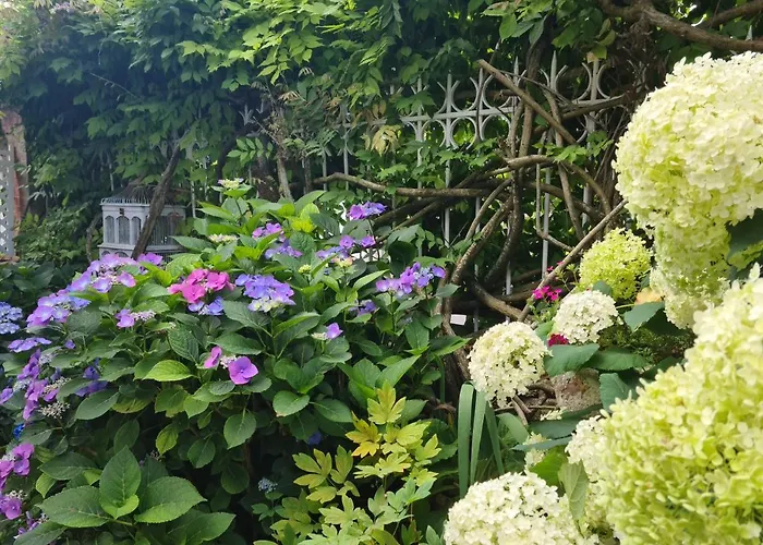 Le petit nid d'aigle - Giverny