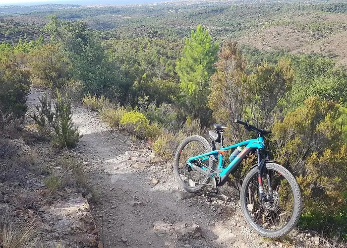 Chambre d hôtes de la Louve Fréjus