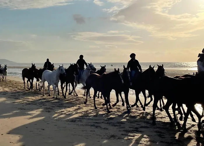 Deauville marina - Escapade vue mer acceptant les animaux