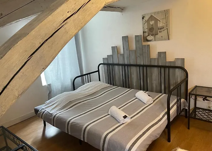DNJ Appart Hotel Orléans