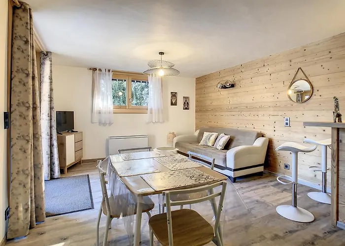 Boutique Appartement Mont Alt, F2 40M2 En Rdc, Calme, Vue Mt Blanc à Passy 