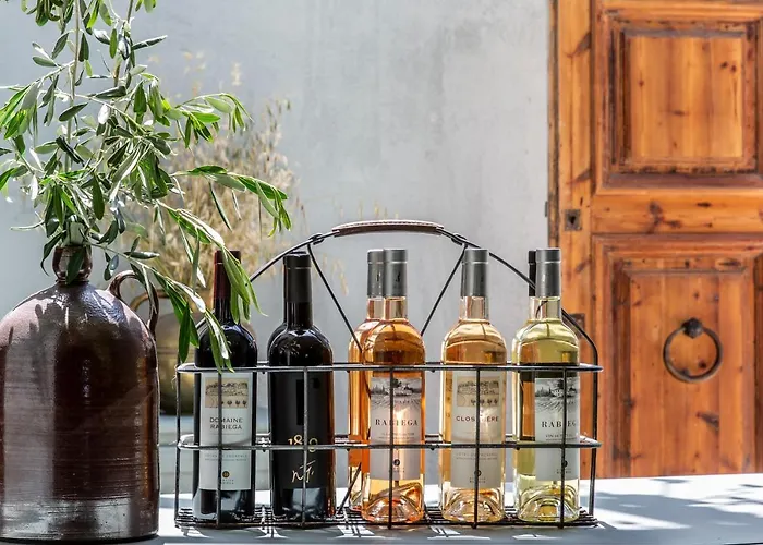 Domaine Rabiega - Vineyard&Boutique hotel Draguignan