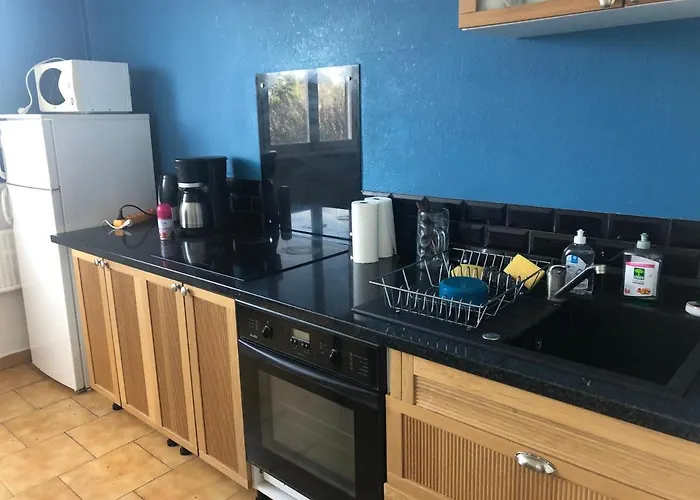 Appartement F3 Metare / Fraissinette IRUP-Ecole des Mines à Saint-Etienne 