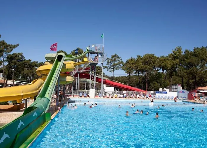 La Palmyre 