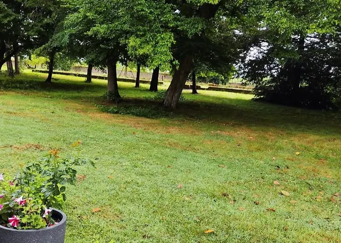 Villa Propriete De Campagne à Vierzon