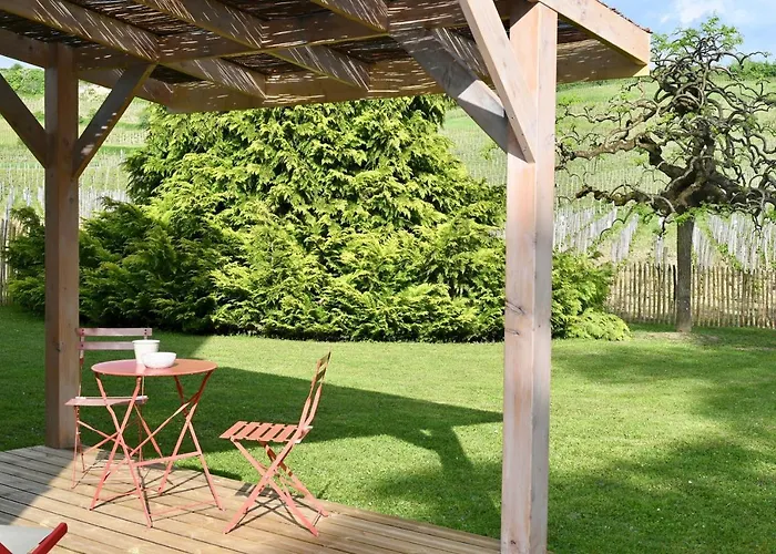 Vue sur les Vignes du Château La Gaffelière - Saint-Émilion Grand Cru