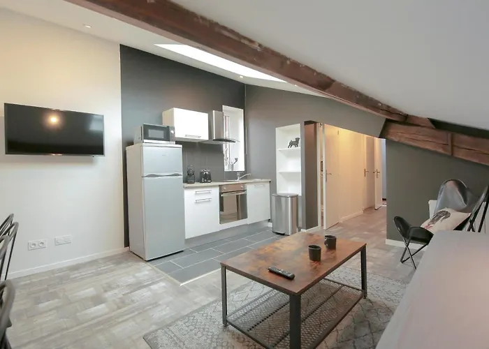 Le Classy, T3 hypercentre chic et cosy, Wifi par SOVALFI Saint-Etienne 