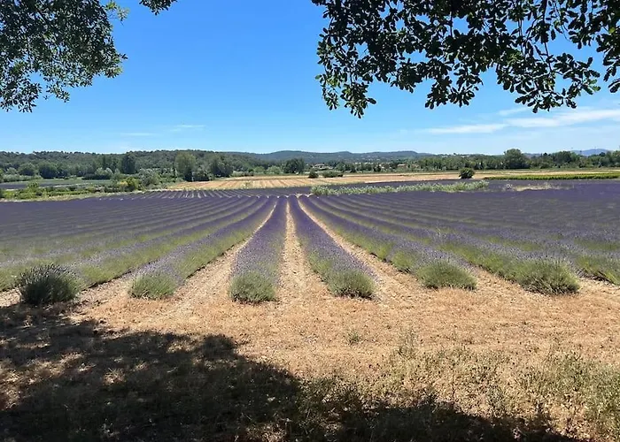 Villa Mas provençal - Terre de l'Ubac 10-12 pers. à Bollène