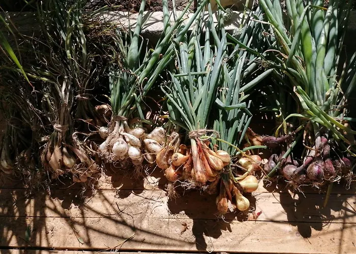 Gîte nature, cultivons le partage Amnéville