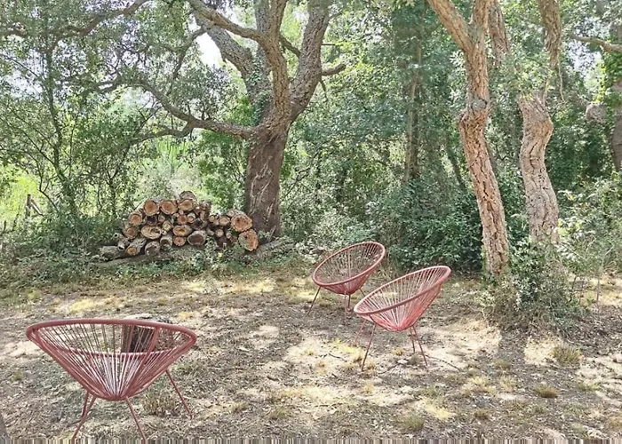 Appartement Les Pierres De La Massane - Vue sur les Albères à Argelès-sur-Mer acceptant les animaux