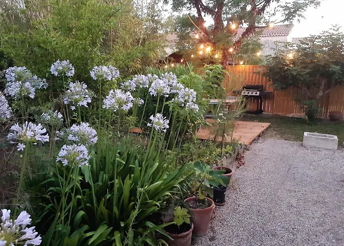 Villa Les Bambous , Jardin , Terrasse , Climatisation , Wifi , Parking Avignon