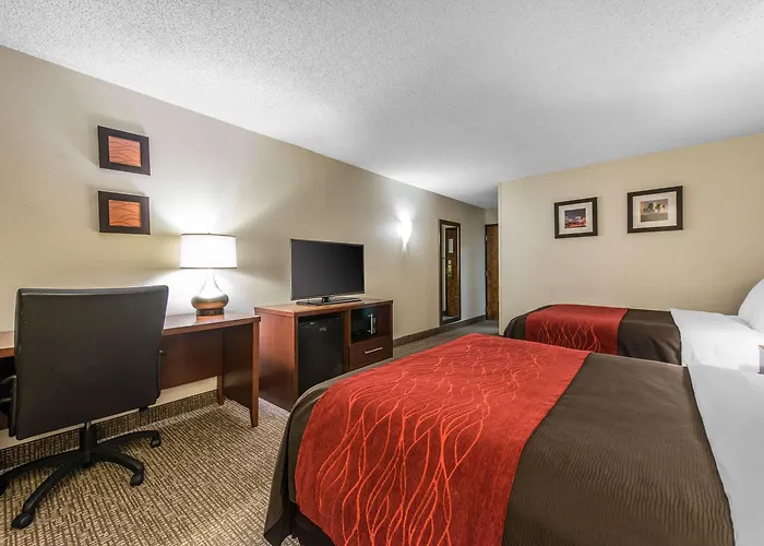 Pet friendly Budget Inn - Denver East