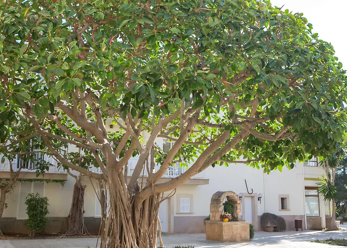 Boutique Hotel Castell Dels Hams Porto Cristo