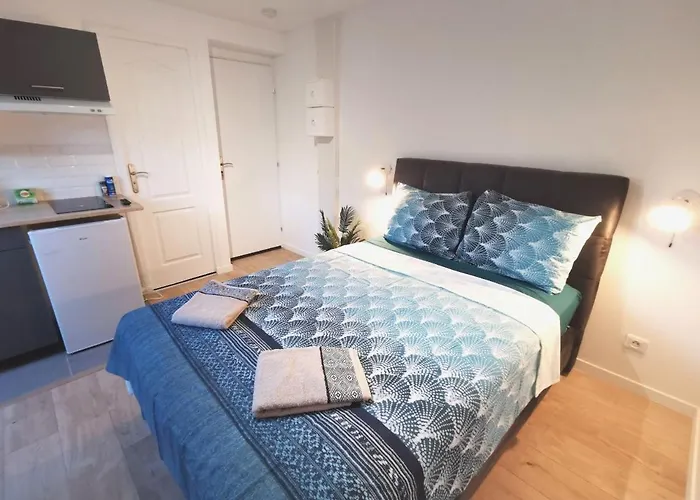 Appartement Cattleya Location à Vierzon