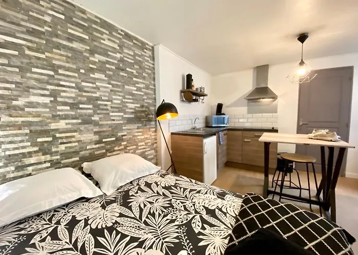 Appartement Le Manhattan Studio à Montpellier acceptant les animaux