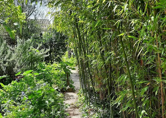 Villa d'artiste comprenant 2 chambres avec salles de bain privatives Arcachon Privée