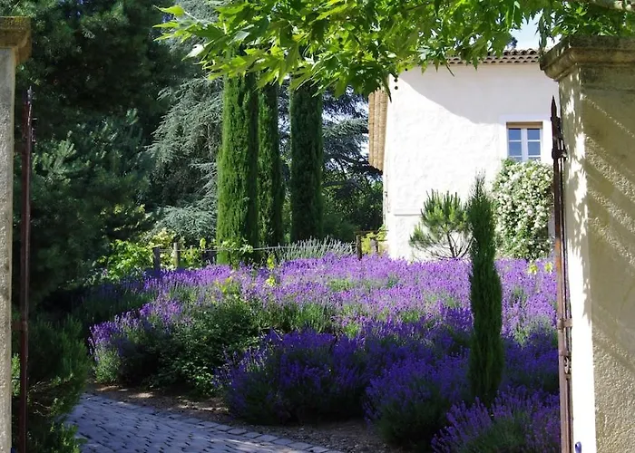 Appartement On dirait LE SUD à Andrezieux-Boutheon