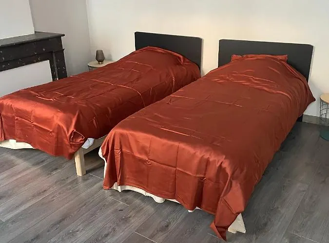 "Le Machao" - Cosy T3 - Centre Ville Mâcon