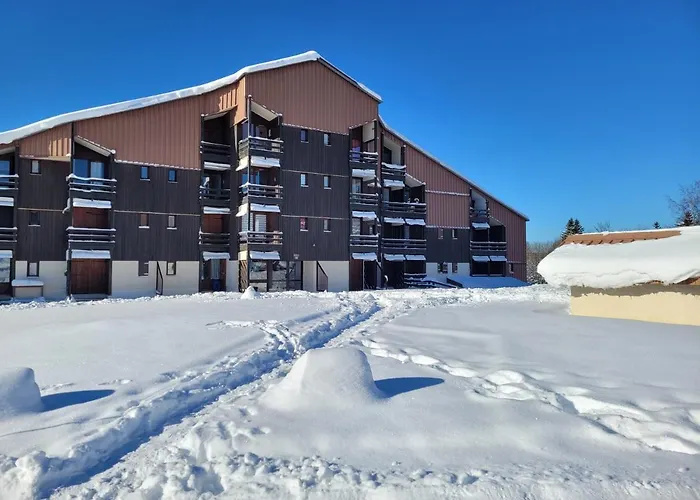LE CHALET, Superbe Duplex Montagnard avec balcon, au calme - Les Rousses, Draps inclus&Parking gratuit, WI-FI acceptant les animaux