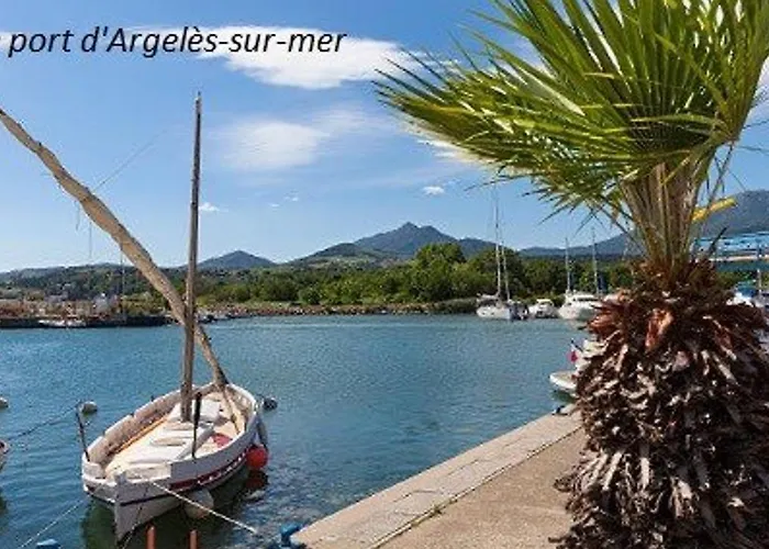 Appartement Cosy Au Port D'Argeles, 2 Pieces/Cabine, 6 Couchages, Proche Mer, Loggia, Menage Inclus - Fr-1-225-453 acceptant les animaux