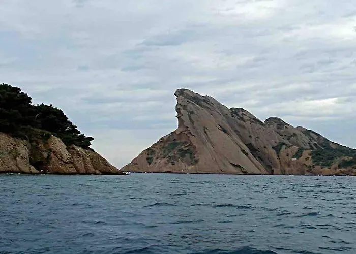 Studio Vue Mer Terrasse La Ciotat acceptant les animaux