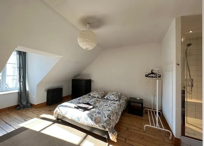 Appartement Pépite au plein centre historique à Lons-le-Saunier acceptant les animaux