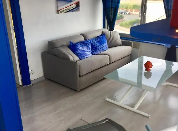 Appartement Sci Moliere à Saint-Cyprien 